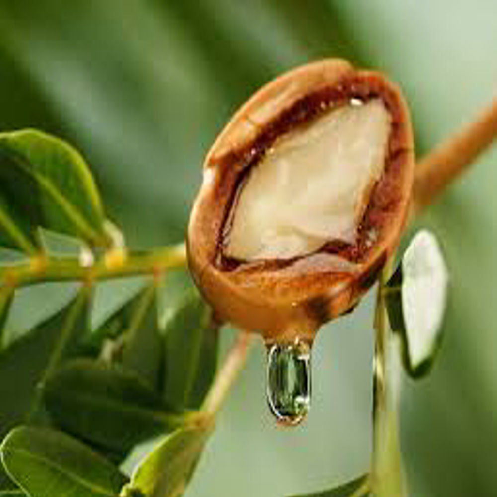 Argan Oil - Purity: 100% Pure