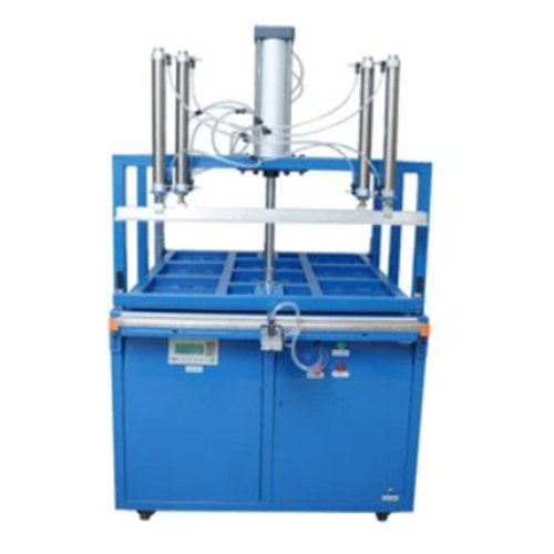 1000X1000 mm Pillow Vacuum Machine