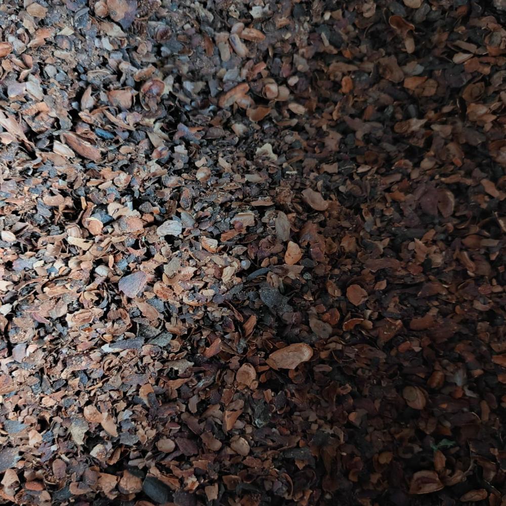 Cocoa Husks