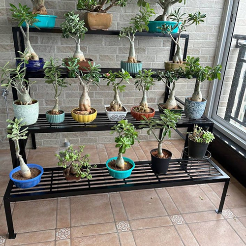 Metal Flower Pot Stand