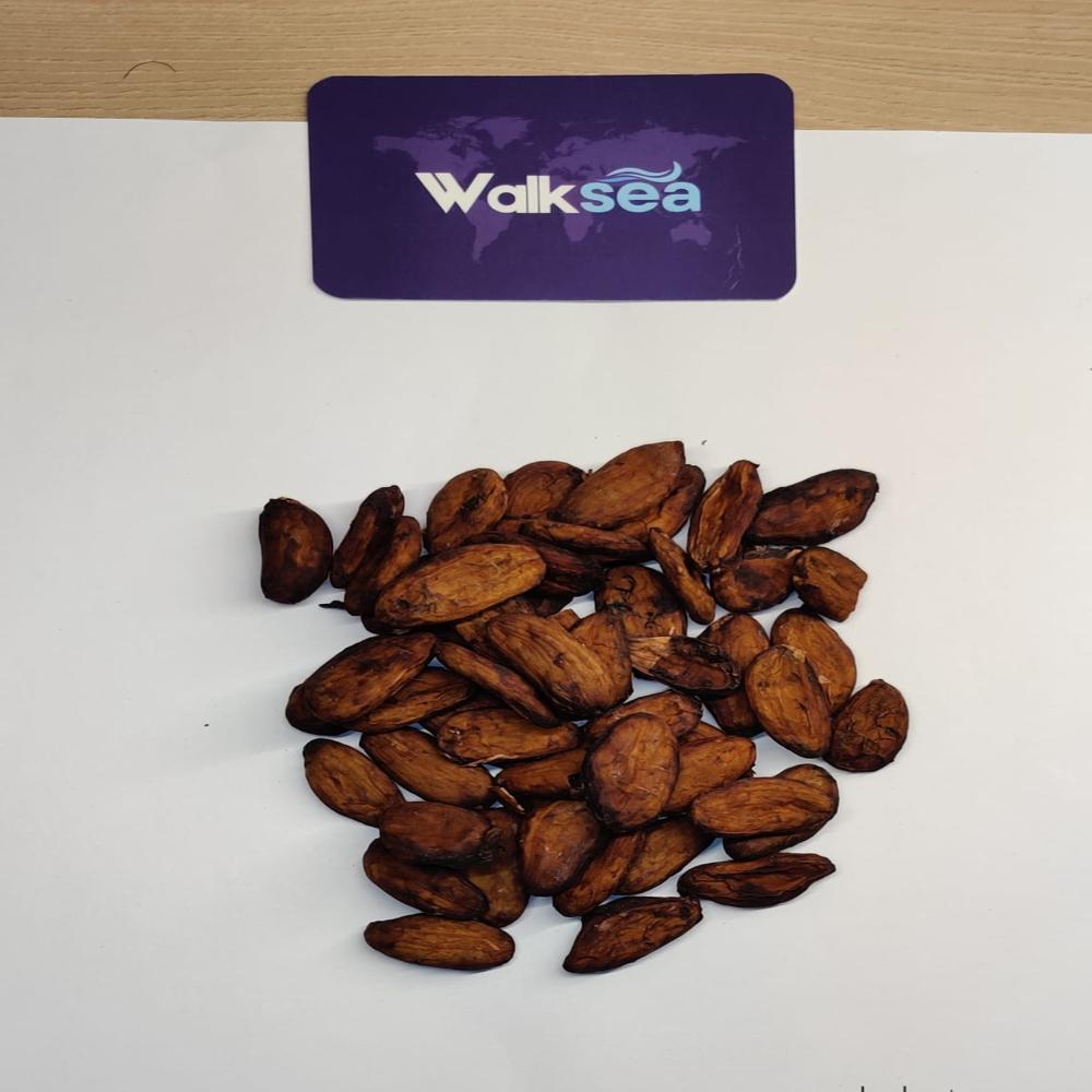 Natural Cocoa Mass - Application: Bakery