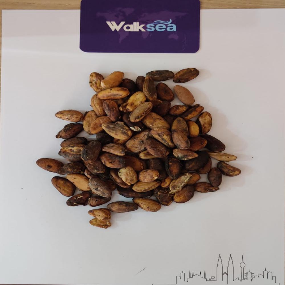 NATURAL COCOA MASS