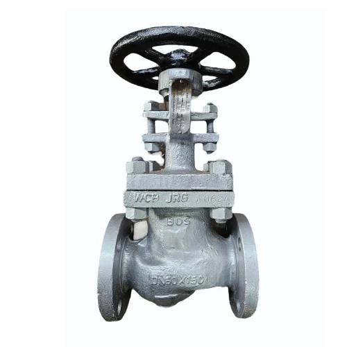 CS Globe Valve
