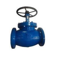 Bellow Seal Globe Valve - Material: Cast Iron