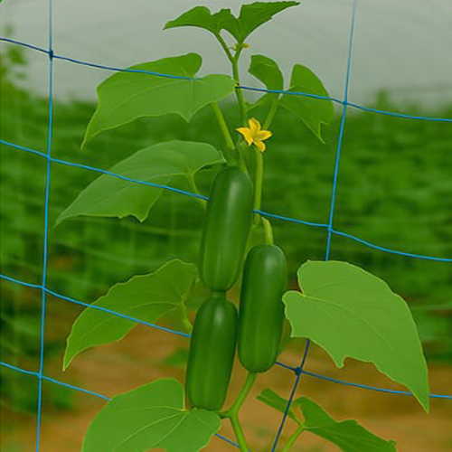 Nylon Crop Support Net - Base Material: Hdpe