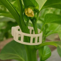 Plastic Plant Support Clip - Film Length: 100 Mtr.  Meter (m)