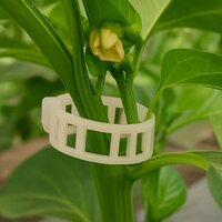 Plastic Plant Support Clip - Film Length: 100 Mtr.  Meter (m)