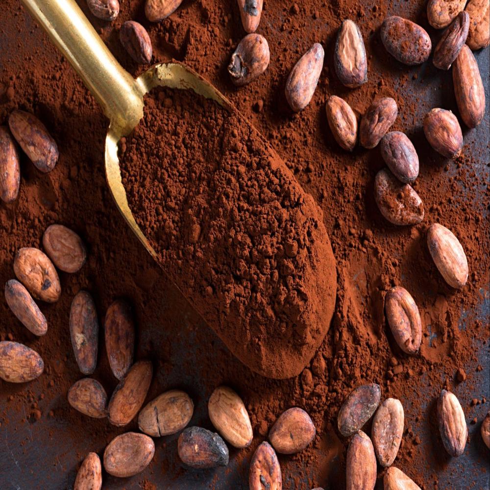 Cocoa Powder - Application: Snacks