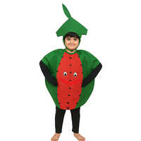 Watermelon Costume