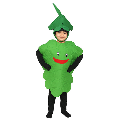 Fruit Costume