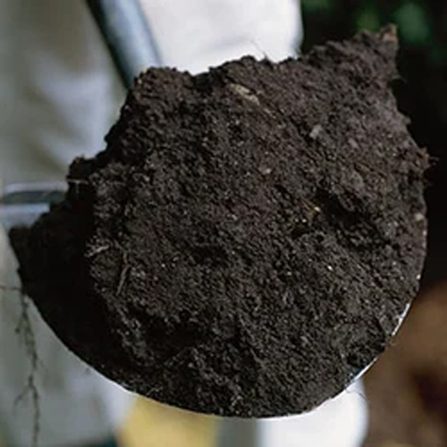 Compost Manure