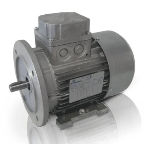 Motovario AC Electric Motor