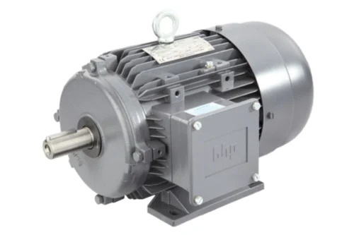 LHP Std Induction Motor