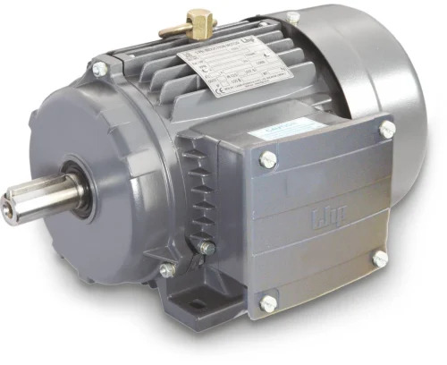 Lhp Std Induction Motor - Frequency (Mhz): 50 Hertz (Hz)
