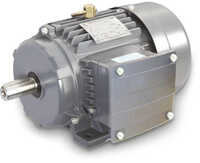 LHP Std Induction Motor