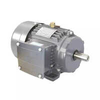 LHP Std Induction Motor
