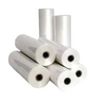 100 GSM LDPE Food Packaging Sheet