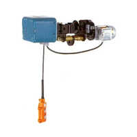 Indef Electric Traveling Trolley