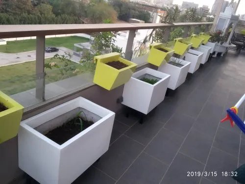 Flower Pots - Color: White