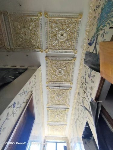 FRP  GRC ceiling