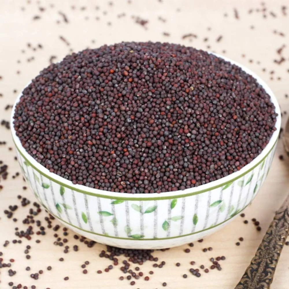 Black Mustard Seeds - Cultivation Type: Organic