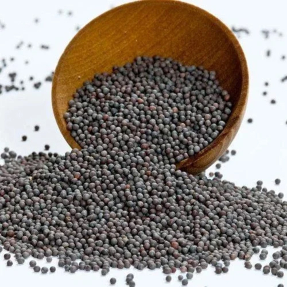 Rai Black Mustard Seeds - Cultivation Type: Organic