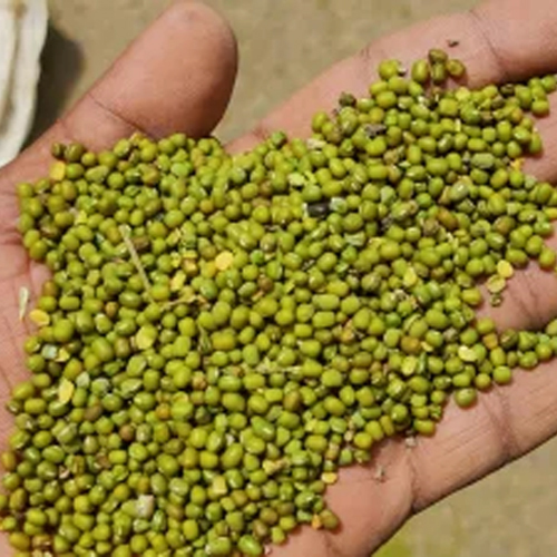 Whole Green Moong Dal
