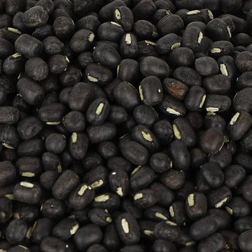 Sabut Black Urad Dal - Cultivation Type: Organic