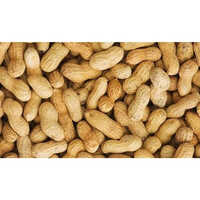 Ground Nut Shells Raw Material