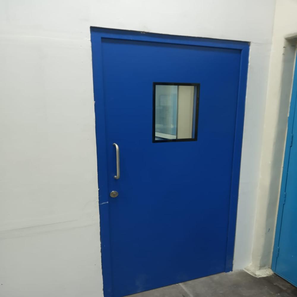 Iron Flush Doors