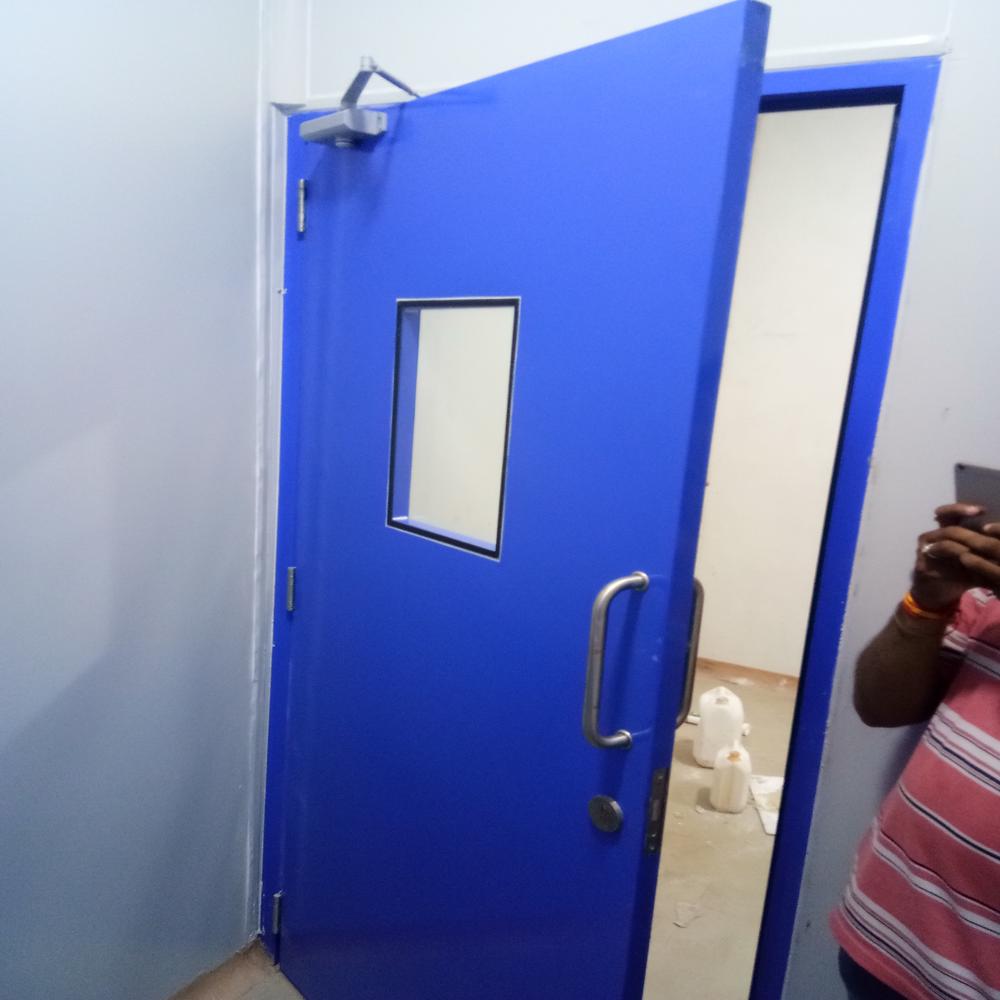 Pharma Flush Door