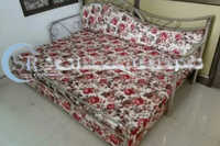 Sofa Cum Bed