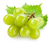 INDIAN GRAPES