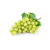 INDIAN GRAPES