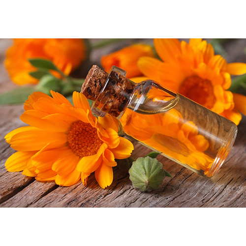 Calendula Oil