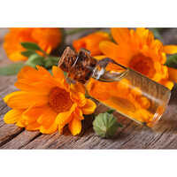 Calendula Oil
