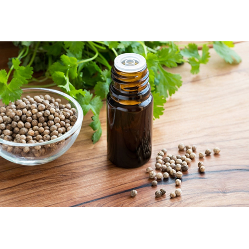 Coriander Oil