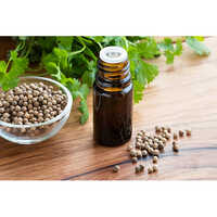 Coriander Oil