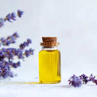 Lavender Oil