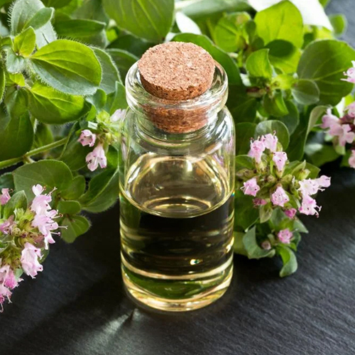 Oregano Essential Oil - Age Group: Adults