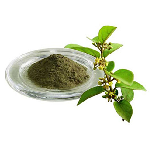 Gudmar Extract - Purity(%): 100%