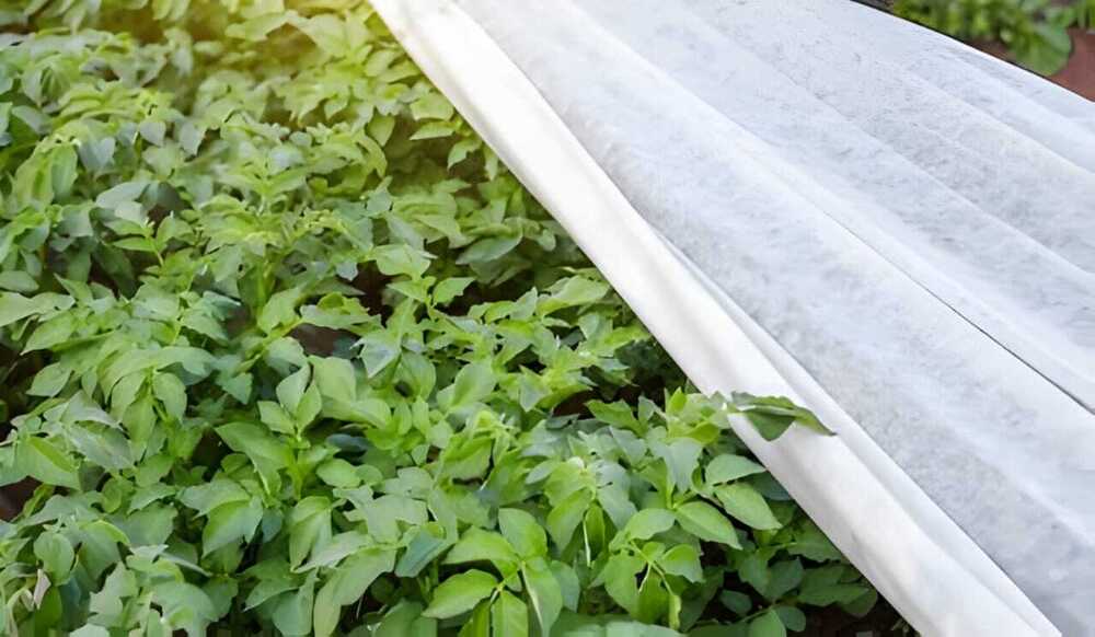 UV Treated Non Woven Fabric