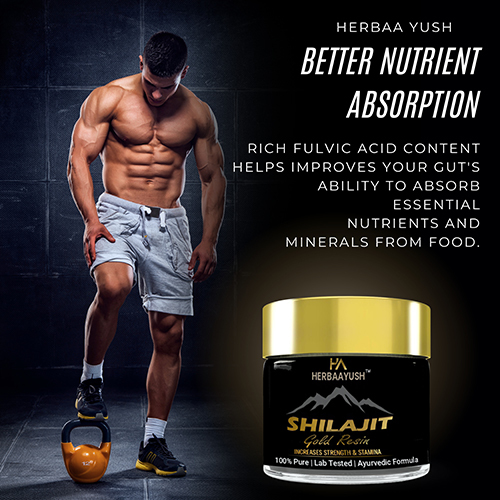 Shilajit Gold Resin - Grade: Medicine Grade