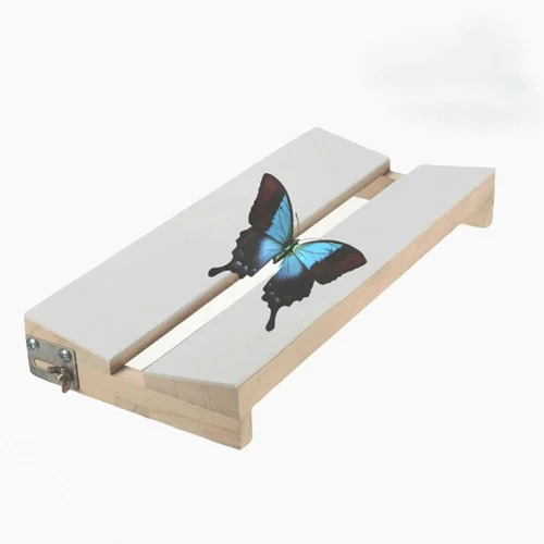 Insect Stretching Board