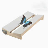Insect Stretching Board
