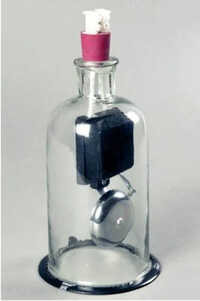 Bell Experiment Apparatus - Color: Transparent