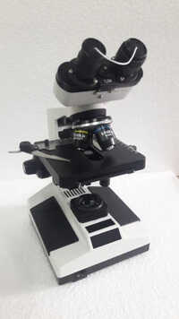 laboratory Binocular Microscope CXL
