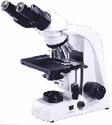 Binocular Microscope