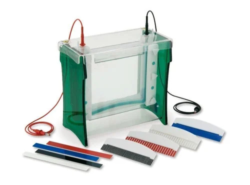 Mini Vertical Electrophoresis