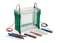 Mini Vertical Electrophoresis - Color: Multicolor